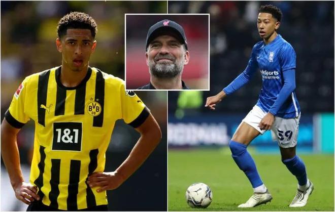 天津市体育局：2024年资助津门虎俱乐部2300万元用以引进外援（天津市体育局：2024年拨款2300万元支持津门虎引进外援）